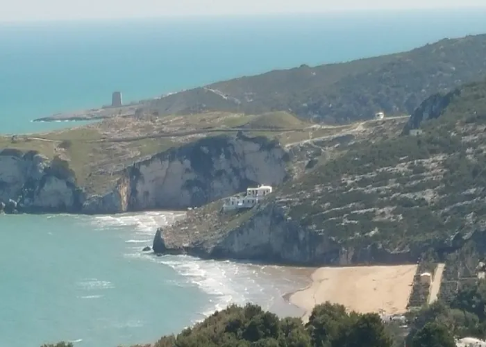 아파트 Cardinal Points 페스키치